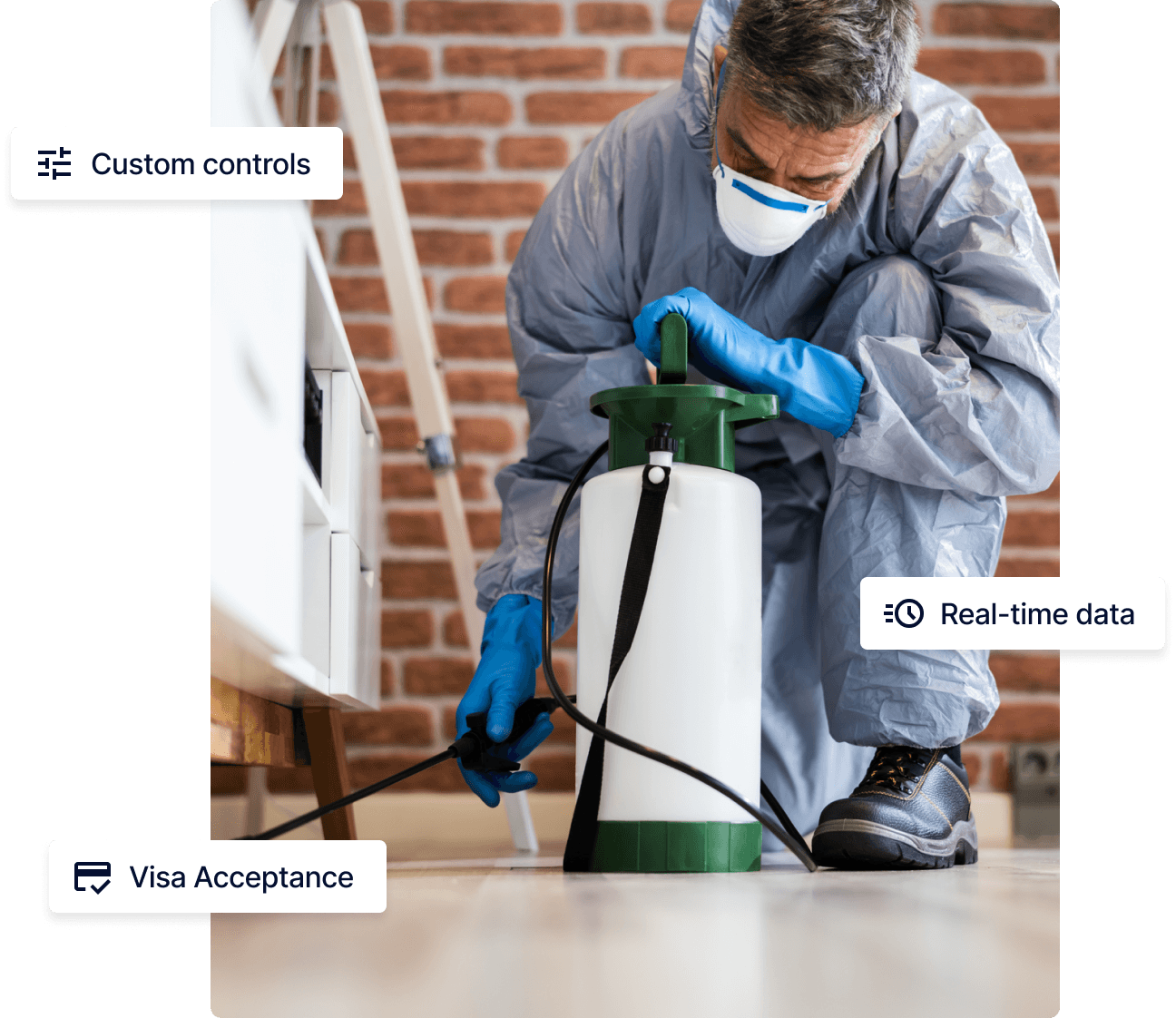 pest control photo